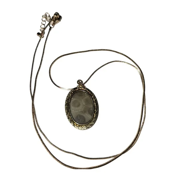 Vtg Petoskey Stone Gold Plated Pendant Necklace - Picture 4 of 4